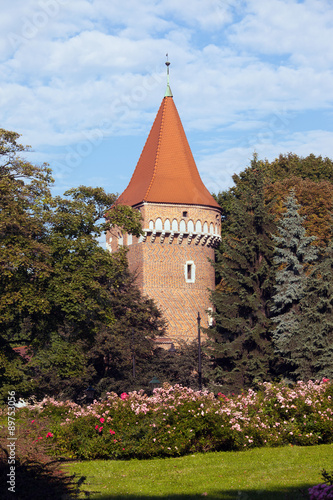 Pasamonikow Tower and Planty Park in Krakow #89753056