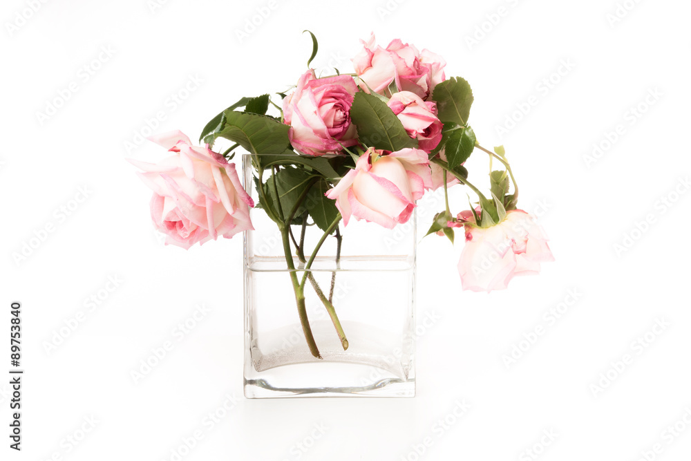 pink roses in a glass vase with light background pink roses in a glass vase with light background