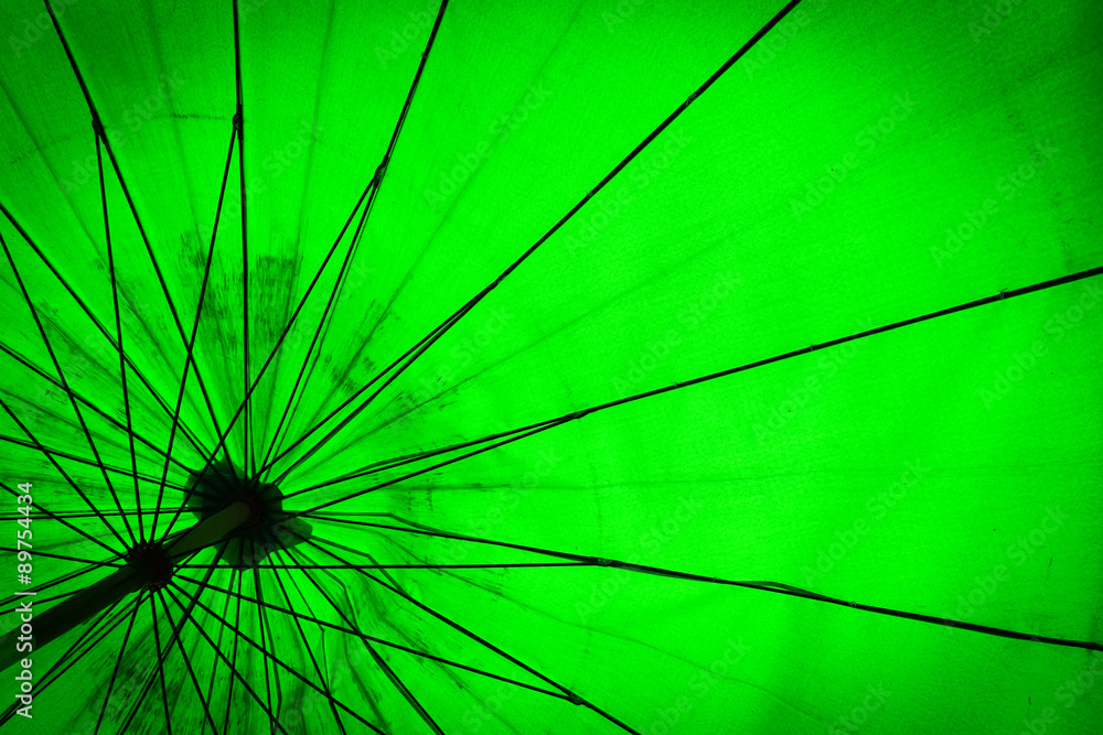 Obraz premium Umbrella close-up