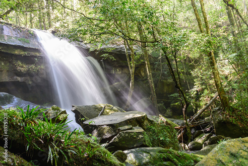 Waterfall with sunbeam in rainforest.