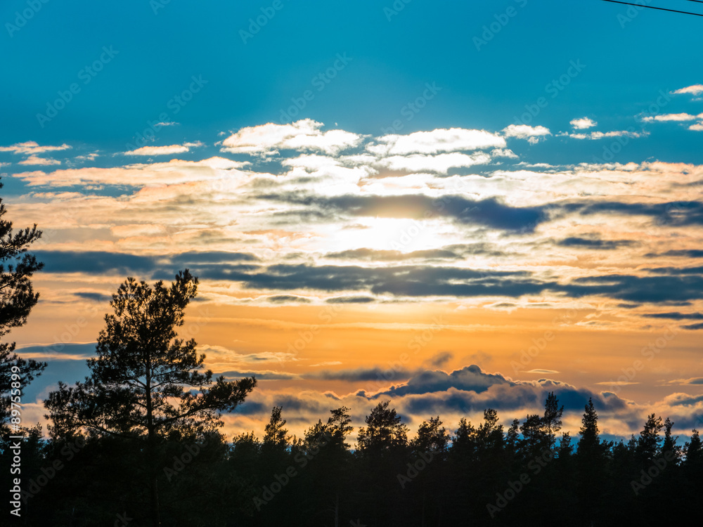 Fototapeta premium Beautiful autumn forest at sunset