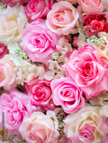 Soft color Roses Background