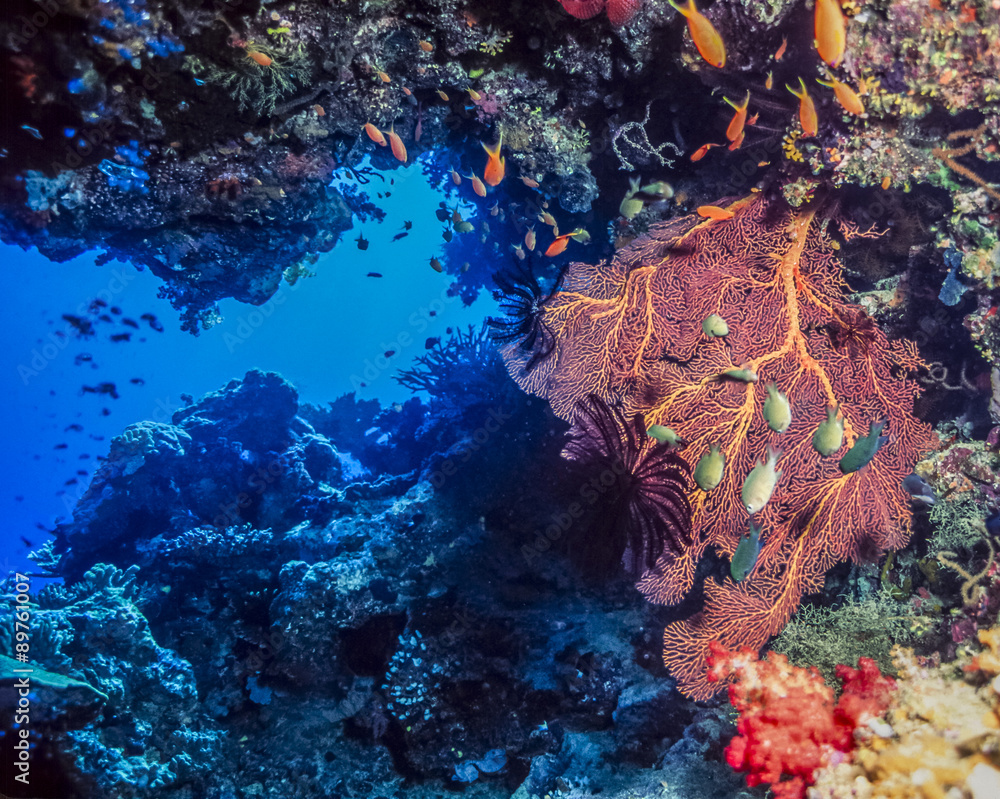 Naklejka premium Small swim through underwater