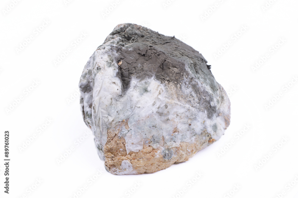 Obraz premium Mouldy bread