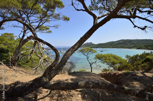 Fototapeta Naklejka Na Ścianę i Meble -  Ile de Porquerolles