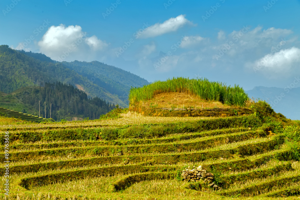 village agriculture Terraced Rice Field hill