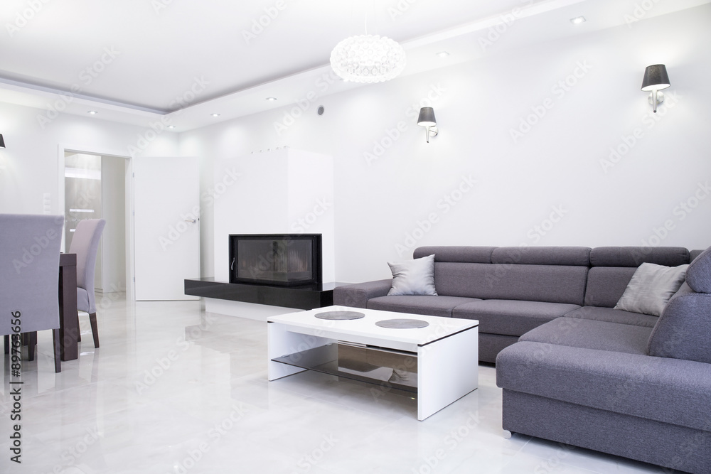 White and gray interior White and gray interior