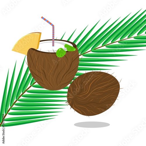 Illustration with drawing of an open coconut, palm leaf and cocktail tube.