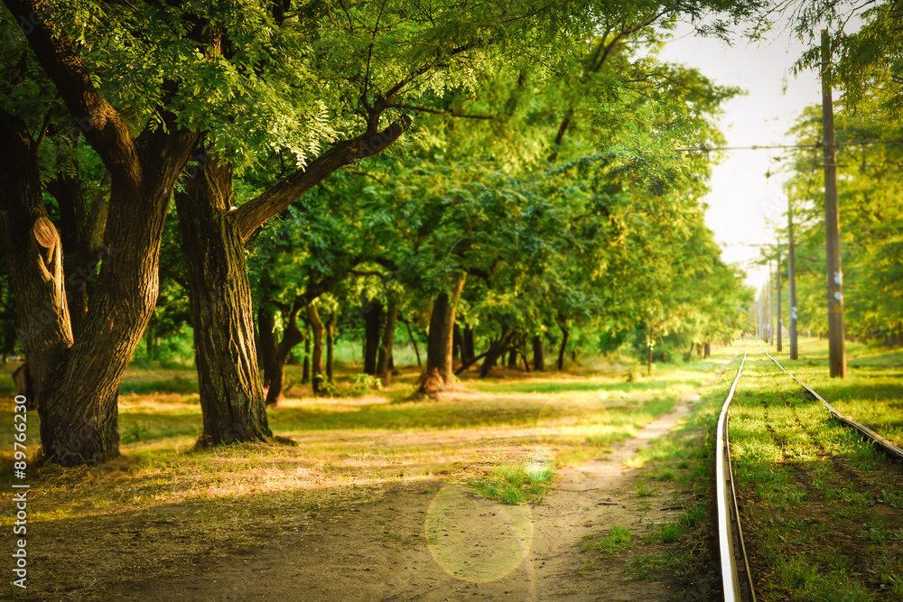 Obraz premium Railway in a beautiful forest