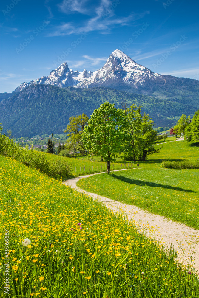 Idyllic landscape in the Alps with meadows and flowers