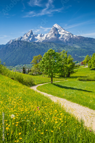 Obraz na płótnie Idyllic landscape in the Alps with meadows and flowers w salonie