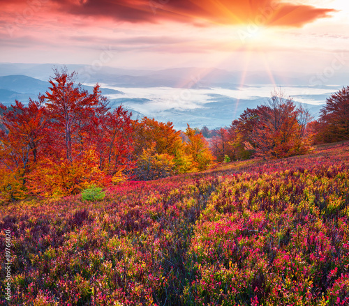 Fantastic colors autumn landscape in the Carpathian mountains. Borzhava ridge, Ukraine, Europe. Inastagram toning.