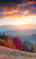 Colorful autumn sunrise in the Carpathian mountains