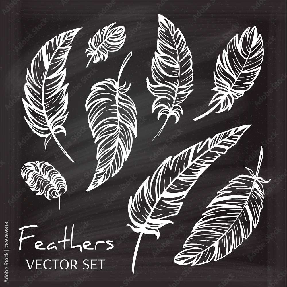 Obraz premium Vector chalk graphic feathers set.