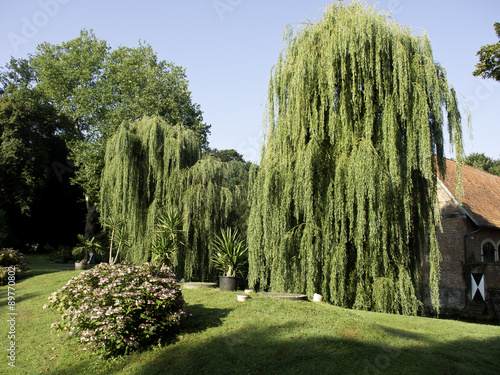 Burg Hülshoff photo