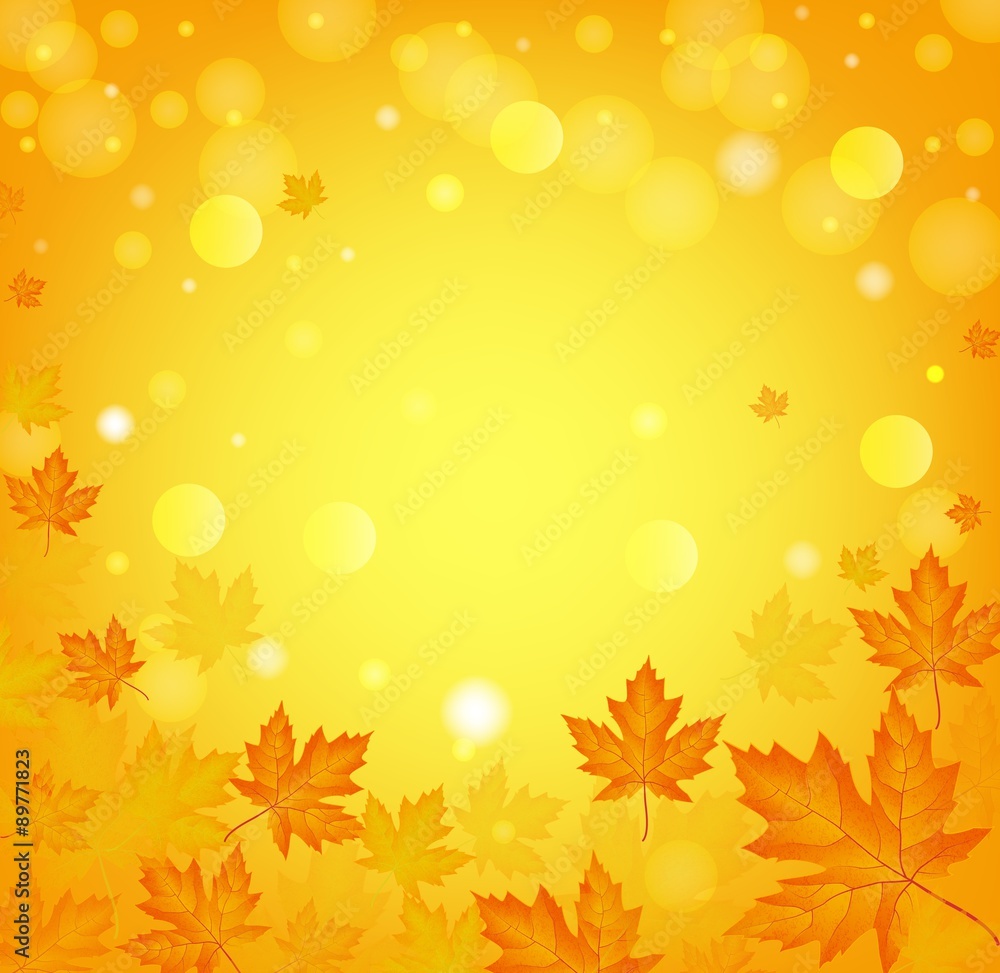 Season frame with autumn leaves Season frame with autumn leaves
