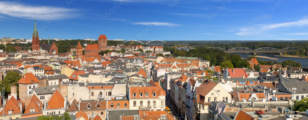 Toruń panorama miasta