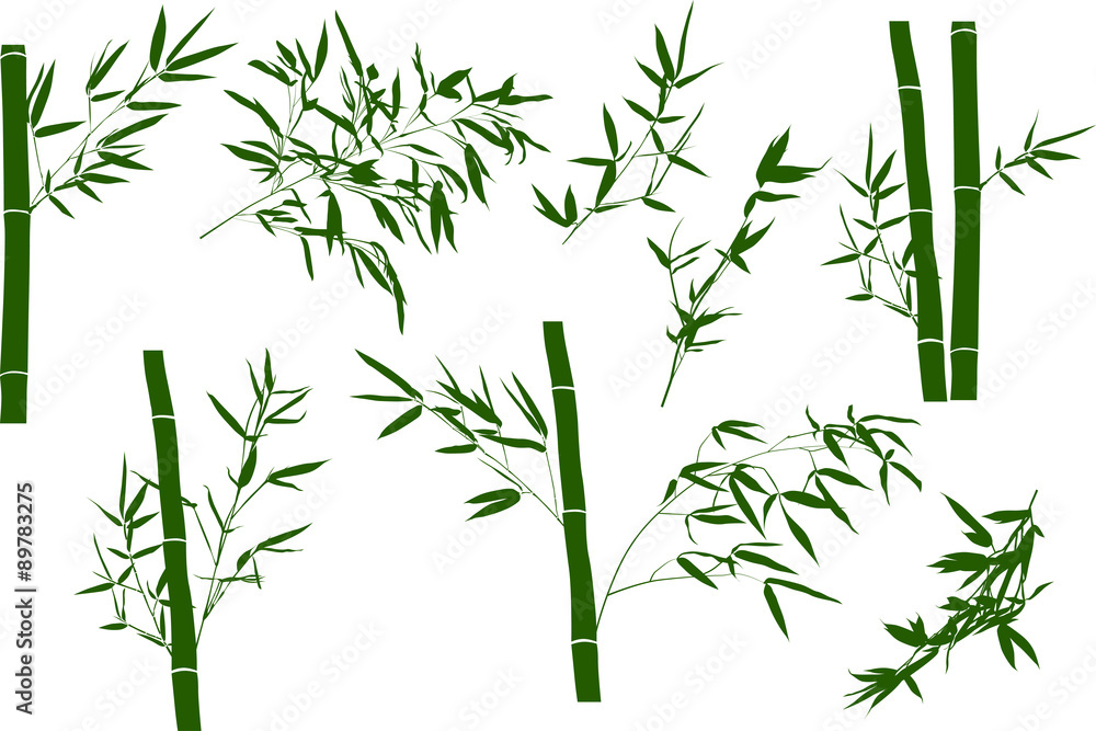Naklejka premium green illustration with bamboo branches