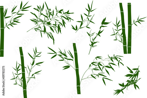 green illustration with bamboo branches