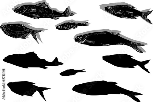 group of black fish sketches isolated on white