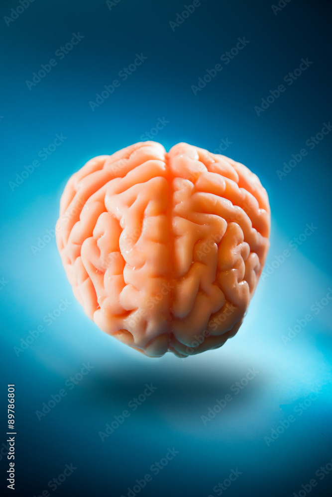 Brain floating on a blue background / selective focus Brain floating on a blue background / selective focus