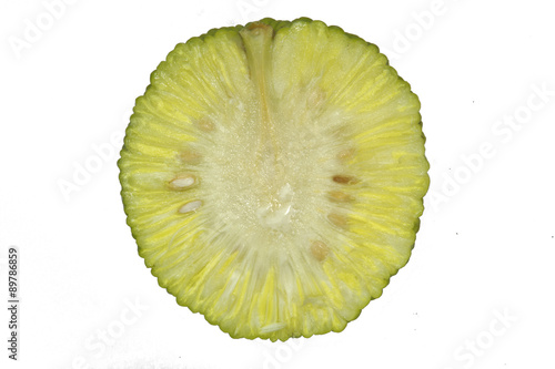 Cut fruit of Maclura pomifera photo