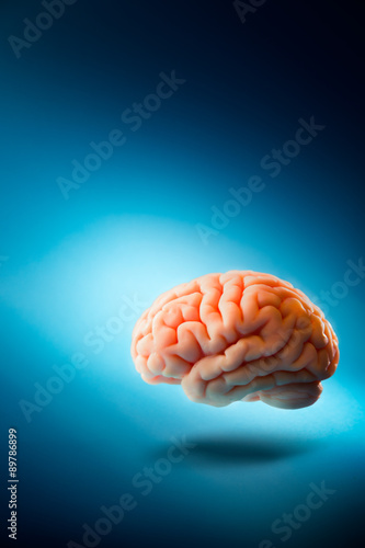 Brain floating on a blue background / selective focus