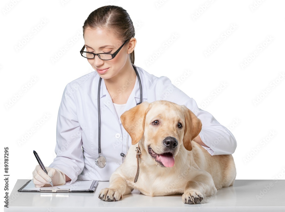 Veterinarian.