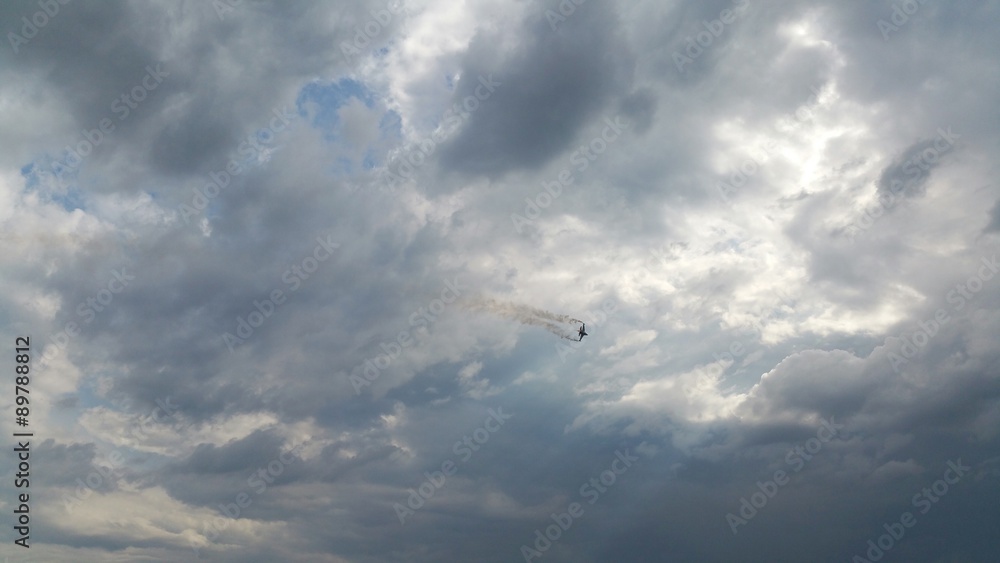 Obraz premium Myśliwiec