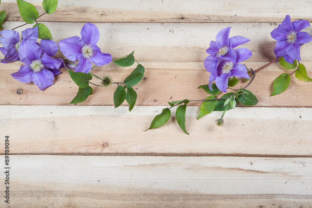 Flowers on the wood background