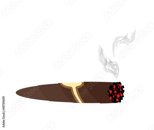 Cigar and smoke on a white background. An expensive Cuban cigar