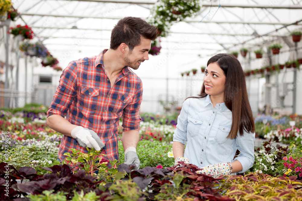 Gardening people, Florist working with flowers in greenhouse Gardening people, Florist working with flowers in greenhouse
