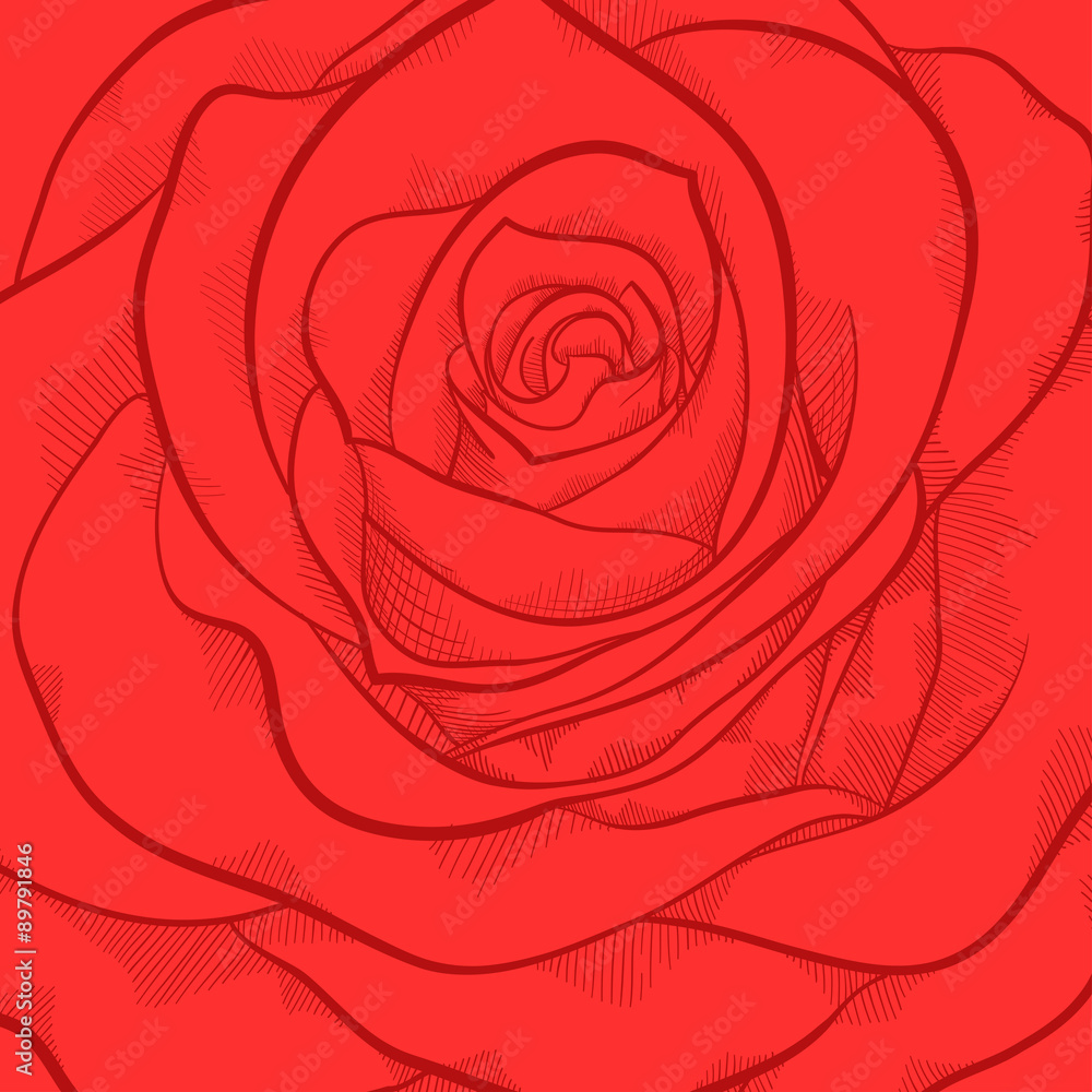 beautiful background with red rose close-up beautiful background with red rose close-up