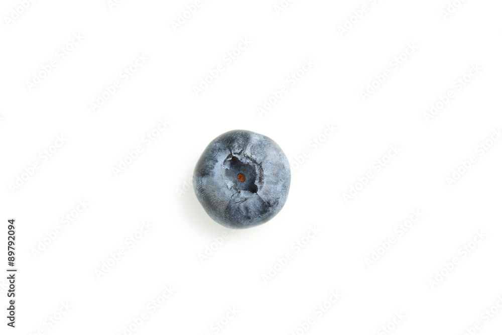 Blueberry isolated on a white Blueberry isolated on a white