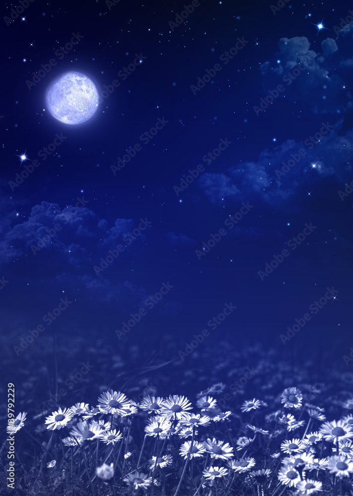 
nightly sky, natural  background