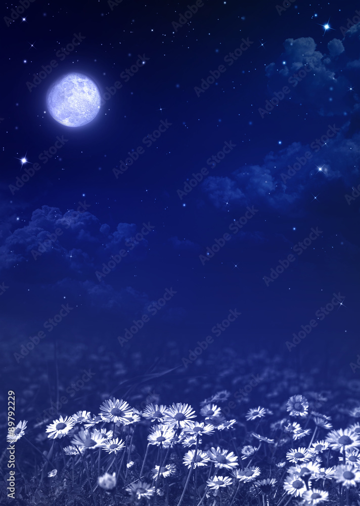 nightly sky, natural background
nightly sky, natural background