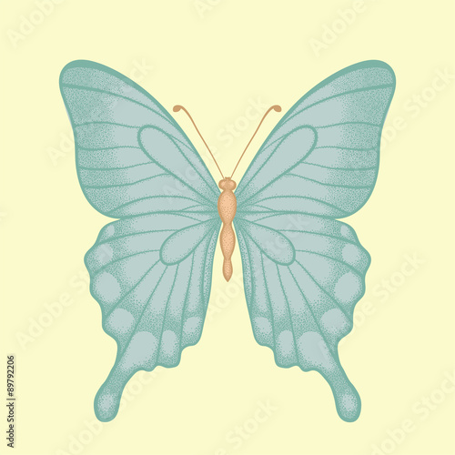 beautiful butterfly  in a hand-drawn graphic style in vintage colors