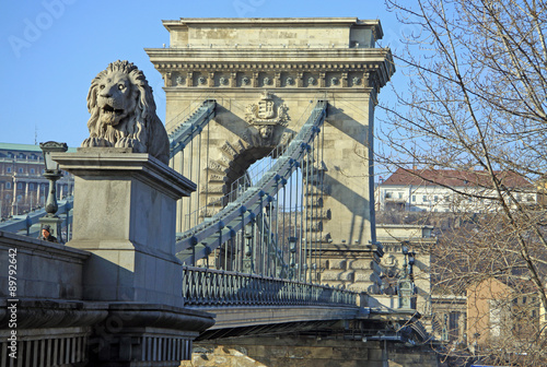 View on Szechenyi Chain Bridge and Buda