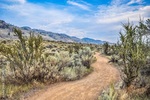 Discovering the Osoyoos desert