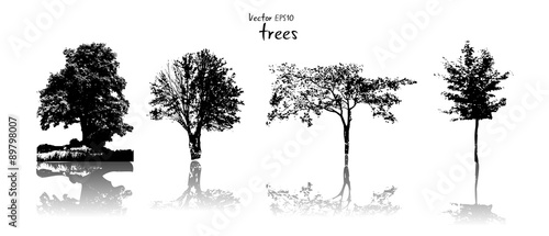 Silhouette of ordinary trees, black on white background, vector illustration