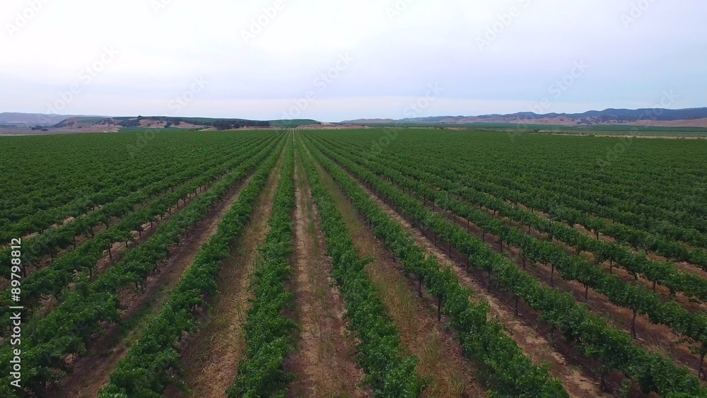 Aerial video of a grape farm in California Aerial video of a grape farm in California