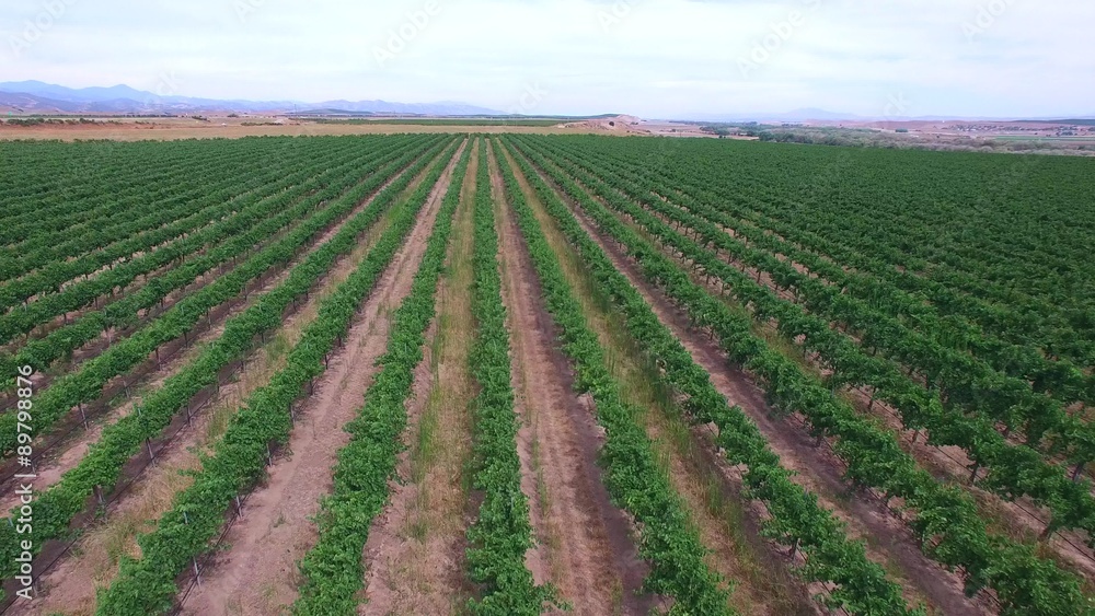 Aerial video of a grape farm in California Aerial video of a grape farm in California