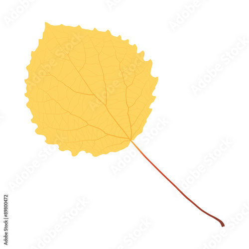 yellow aspen leaf