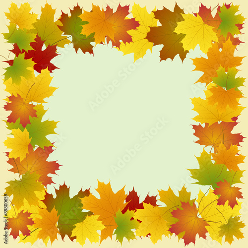 frame of maple leaves