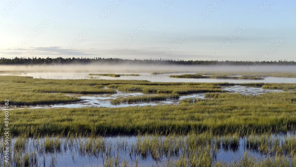 Timelapse dissipation of fog at sunrise over the marsh in a scenic area on the Yamal Peninsula in Siberia Timelapse dissipation of fog at sunrise over the marsh in a scenic area on the Yamal Peninsula in Siberia