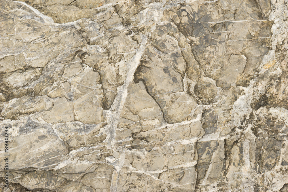 Fototapeta premium Texture of stone 1