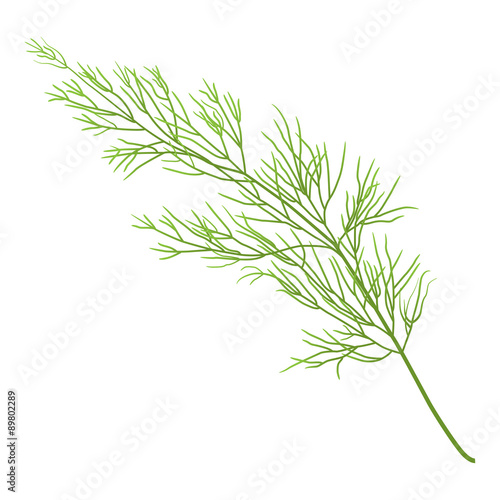 dill