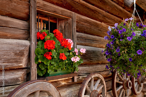 Beautiful flowers on a old traditional farmhouse