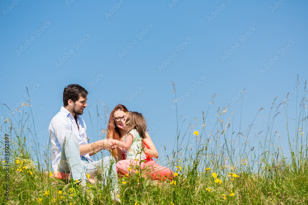 Familie hält sich an den Händen im Sommer, sie sitzen auf einer Blumenwiese Familie hält sich an den Händen im Sommer, sie sitzen auf einer Blumenwiese