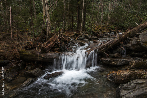 Stream at Great Smoky Mountains National Park